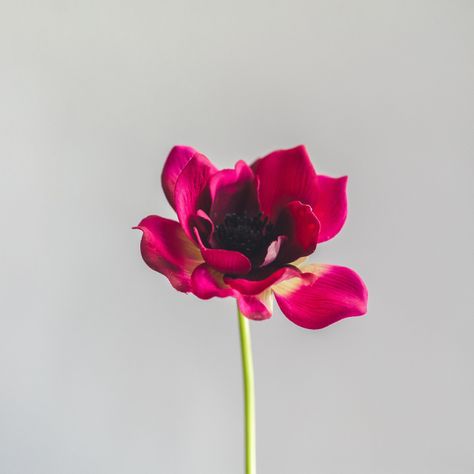 Anemona Morada Flor Artificial by Le Bouquet 40,6 cm-2