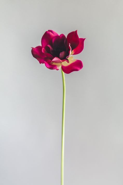 Anemona Morada Flor Artificial by Le Bouquet 40,6 cm-0