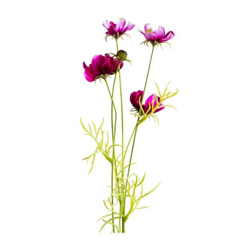 Cosmo Flor Artificial by Le Bouquet 86 cm-1