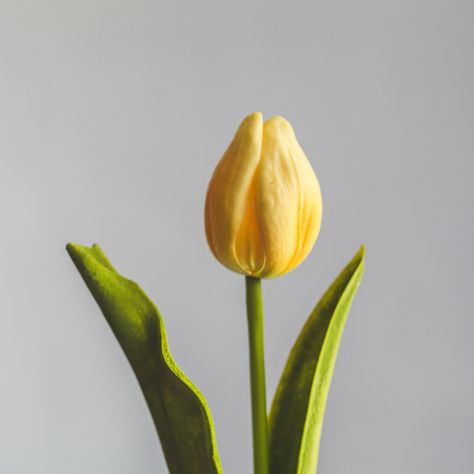 Tulipan Amarillo Flor Artificial by Le Bouquet 48 cm-0