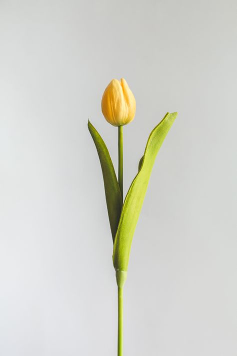 Tulipan Amarillo Flor Artificial by Le Bouquet 48 cm-2