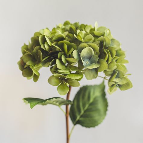 Hortensia Verde con Azul Flor Artificial by Le Bouquet 66 cm-2