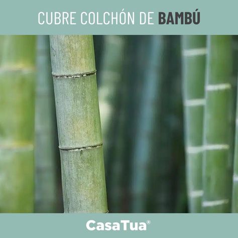 Cubre Colchon Protector Impermeable Bambú blanco-3