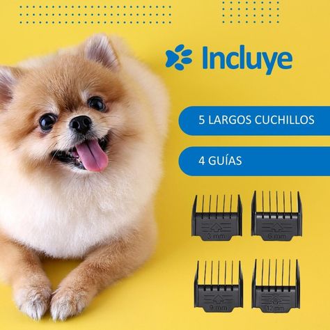 Maquina Corta Pelo Para Perro Gato Set Afeitadora+Accesorios-1