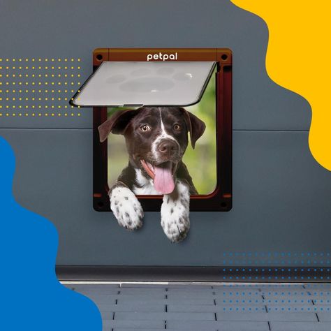 Puerta Abatible Para Perro Gato Mascota Petpal Extra Grande-5