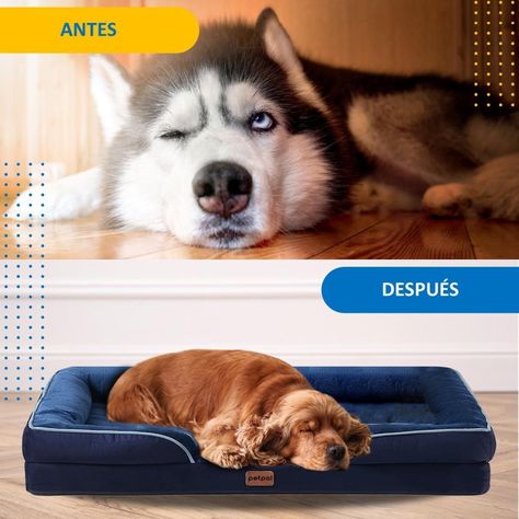 Cama Ordopédica Para Mascota Perros Y Gatos Tamaño L-4