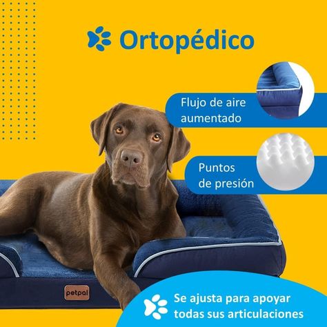Cama Ordopédica Para Mascota Perros Y Gatos Tamaño L-2