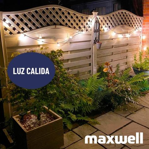 Guirnalda Luces Maxwell 10 Metros Unible + 10 Ampolletas-6
