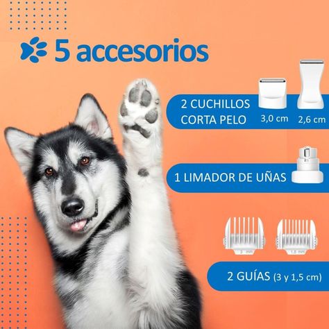 Corta Uñas Corta Pelo Para Perro Gato Set Belleza Recargable-2