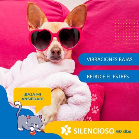 Corta Uñas Corta Pelo Para Perro Gato Set Belleza Recargable-6