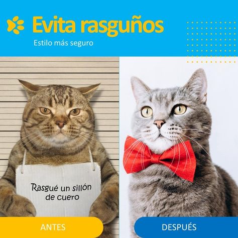Corta Uñas Corta Pelo Para Perro Gato Set Belleza Recargable-7
