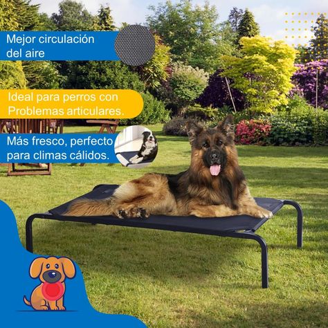 Cama Perro Gato Mascota Elevada Altura Refrescante Petpal-1