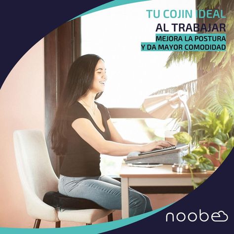 Cojin Picaron Ortopedico Antiescarascon Memoria Noobe +Funda-2