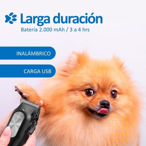 Maquina Corta Pelo Mascotas Perro Gato Kit  Petpal-3