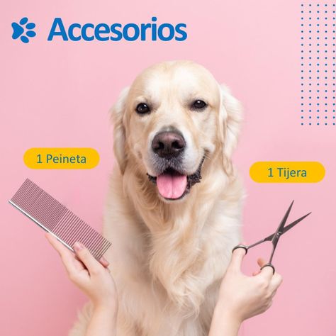 Maquina Corta Pelo Mascotas Perro Gato Kit  Petpal-4