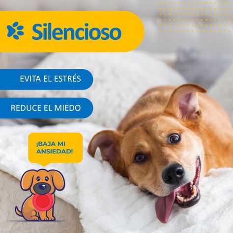 Maquina Corta Pelo Mascotas Perro Gato Kit  Petpal-2