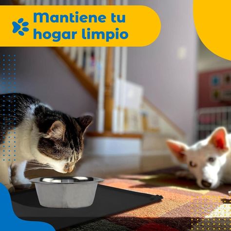 Plato para Perro Anti Ansiedad Petpal + Plato Acero y Mat-4