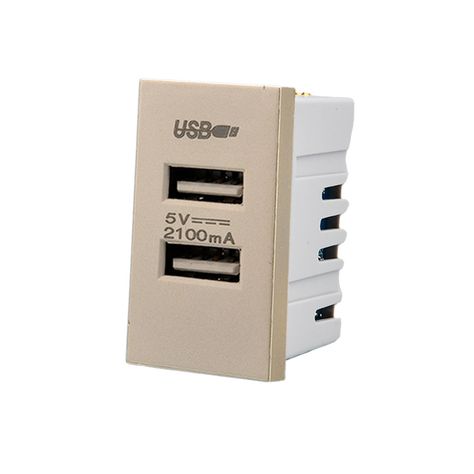 Pack 20 Módulo USB Doble Metálico 250V - Dorado-1