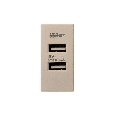 Pack 20 Módulo USB Doble Metálico 250V - Dorado-3