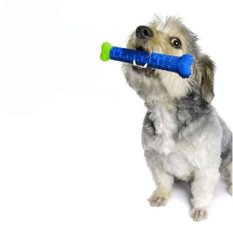 Cepillo de Dientes para Perros-1