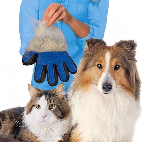 Set Para Mascotas Esencial Guante Cepillo + Bolsa Para Desechos-3