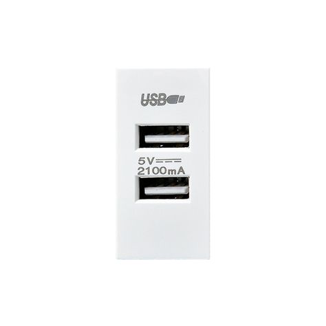 Pack 20 Módulo USB Doble Metálico 250V - Blanco-3