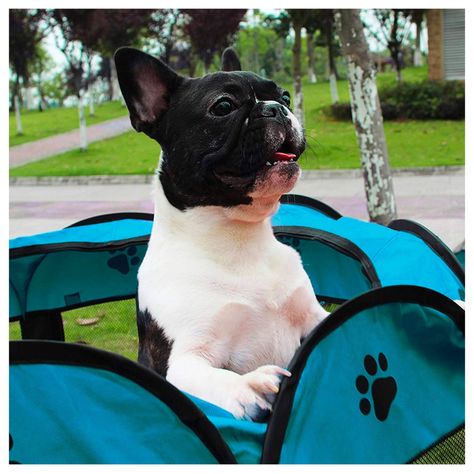 Corral Mascotas Plegable Diseño Huellas Grande-7