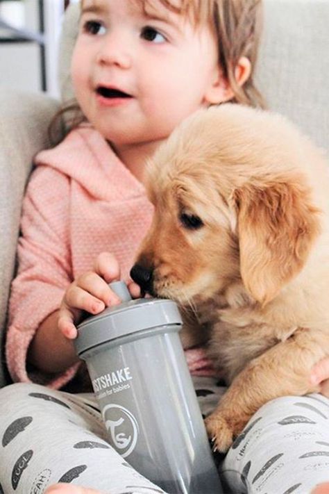 Vaso Twistshake Kid Cup 360ml 12+m gris-2
