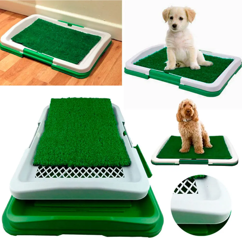 Baño Ecológico Para Perros y Gatos-5