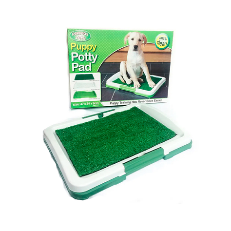 Baño Ecológico Para Perros y Gatos-4