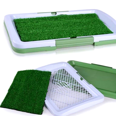 Baño Ecológico Para Perros y Gatos-6