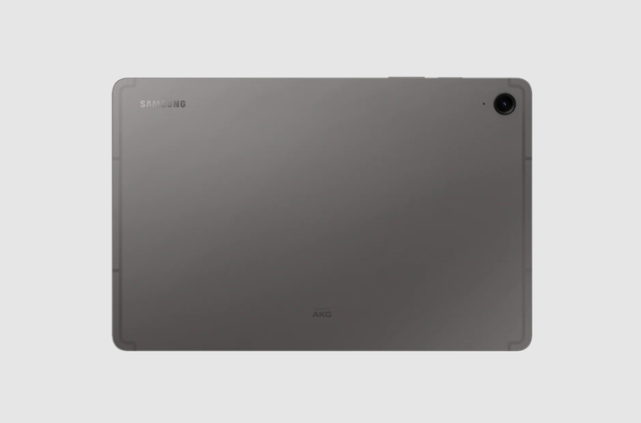 Samsung Galaxy TAB S9 FEGris-1