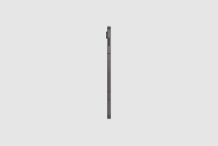 Samsung Galaxy TAB S9 FEGris-2