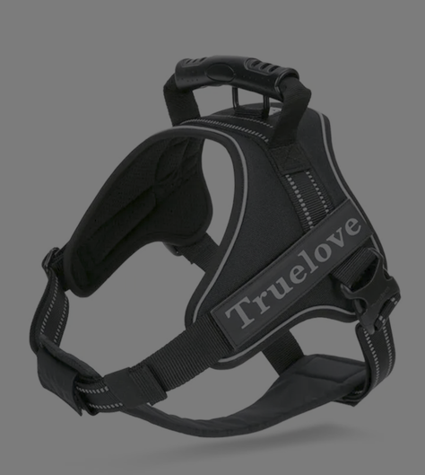 Truelove Arnés Outdoor Adventure Black M-0