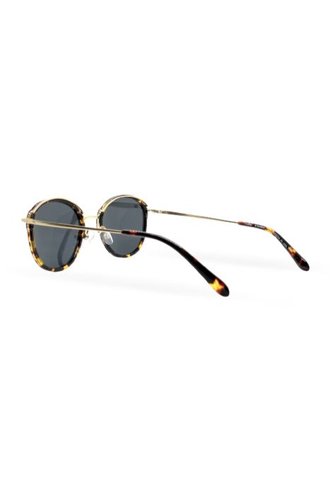 Lentes de Sol Belvedere Marron York Eyewear YK1276SC249-2