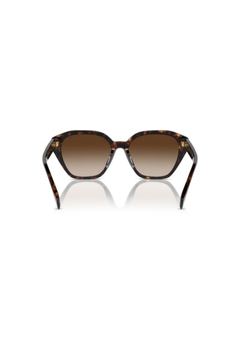 Lentes de Sol Havana Degradados Ralph RA5315U500313-3