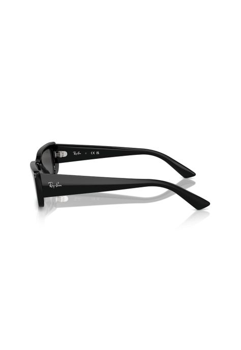 Lentes de Sol Teru Negro Ray-Ban RB4425667787-2