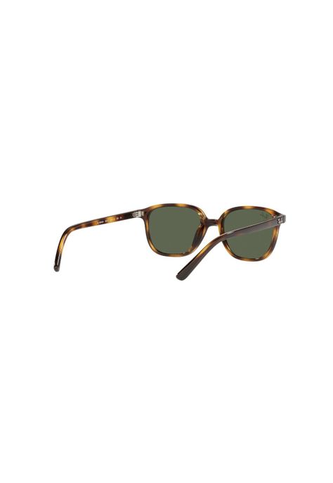 Lentes de Sol Leonard Havana Ray-Ban Junior para NIÑOS-7