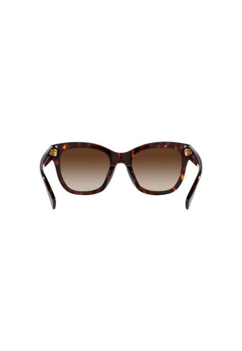 Lentes de Sol Shiny Dark Havana Ralph-6