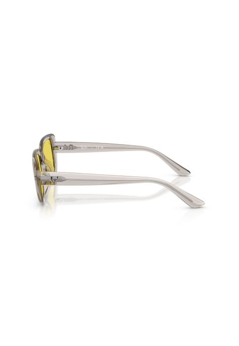 Lentes de Sol Marrón Ray-Ban RB4421D681885-2