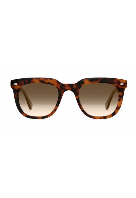 Lentes de Sol Gaga Carey York Eyewear YKR0103SC252-0
