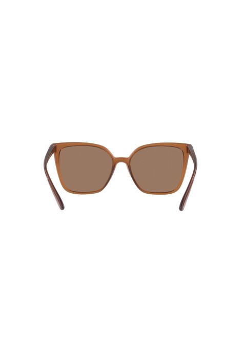 Lentes de Sol Marrón Jean Monnier J84149K048-6