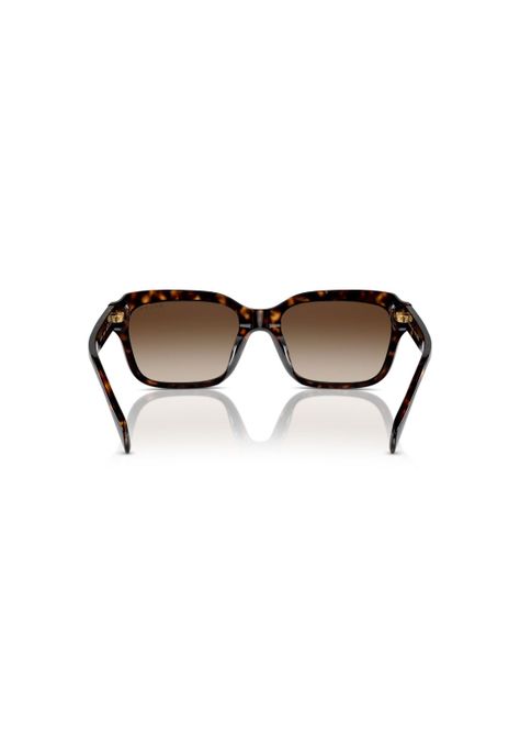 Lentes de Sol Havana Degradados Ralph RA5312U500313-3
