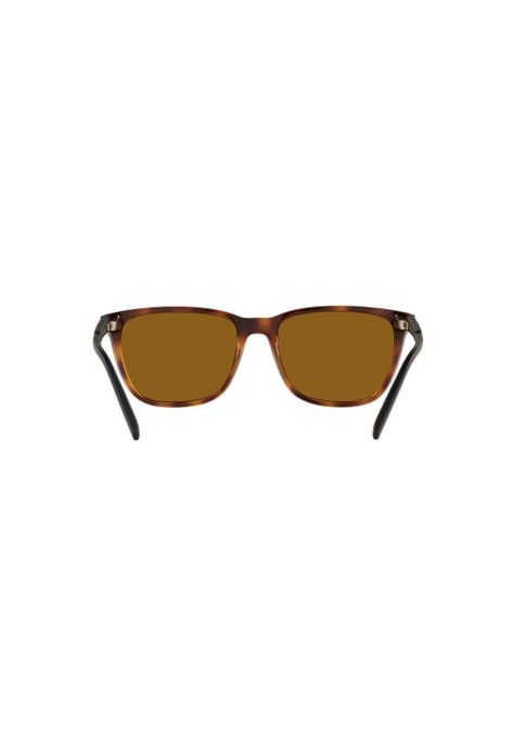 Lentes de Sol Havana Polarizados Arnette Sustentable AN4291-6