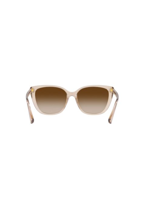 Lentes de Sol Shiny Transparent Brown Ralph RA5274580213-6