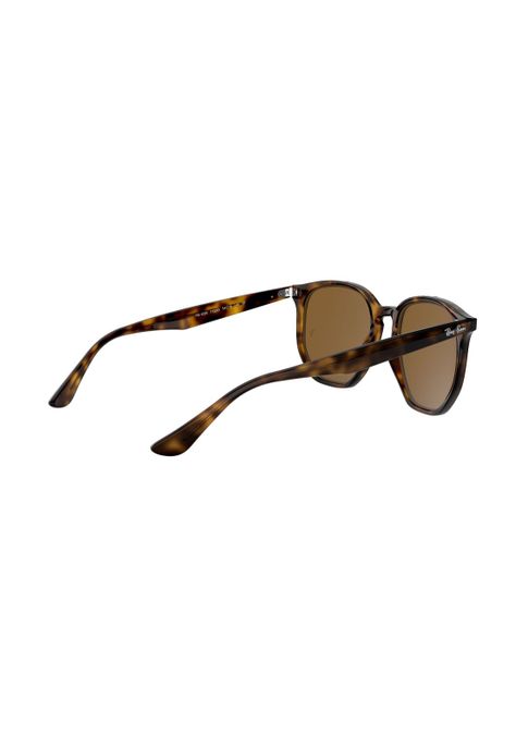 Lentes de Sol Havana Polarizados Ray-Ban RB430671083-8
