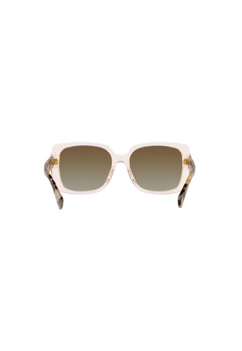 Lentes de Sol Transparent Brown Polarizados Ralph-6