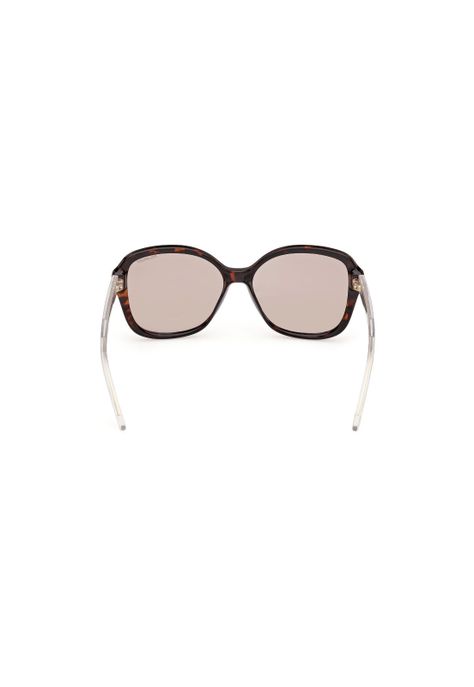 Lentes de Sol Havana Oscuro Polarizados Skechers SE635952H-4