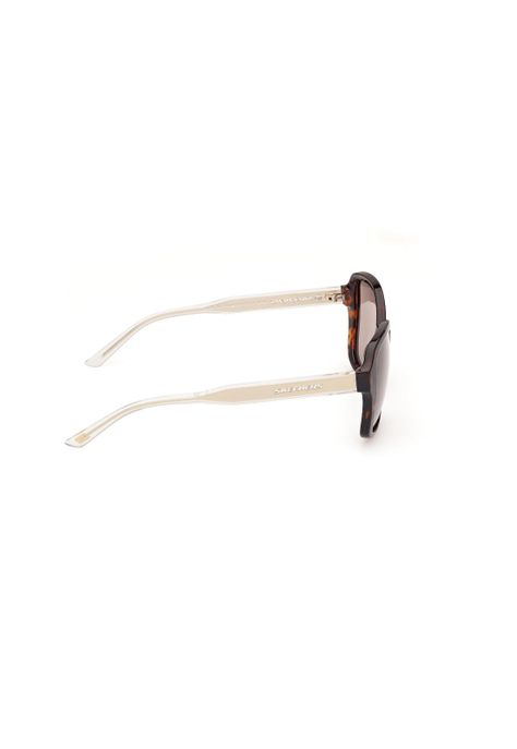 Lentes de Sol Havana Oscuro Polarizados Skechers SE635952H-6