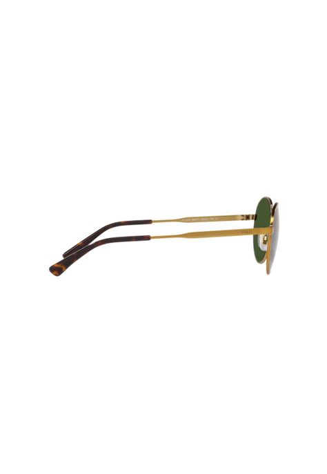 Lentes de Sol Dorado Polo PH3142925171-9